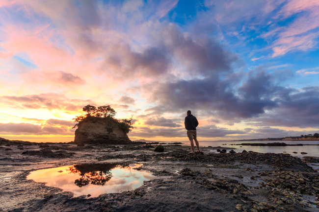 Watching the Sunrise over the Tor on Auckland's North Shore